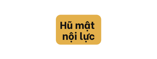 Hũ mật nội lực