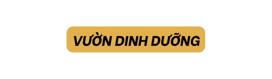Vườn dinh dưỡng